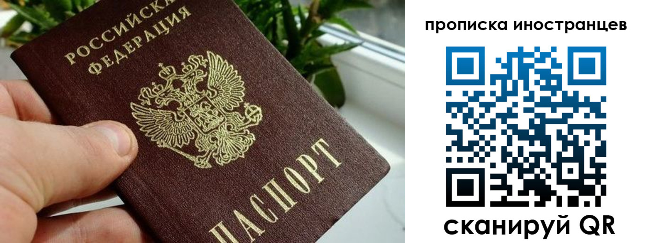 временная регистрация в Яхроме
